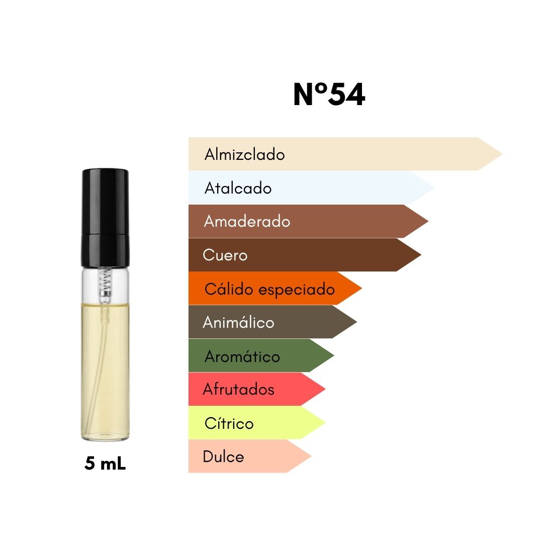 Ciro 54 - Inspirado en Aud Hasard - 5 mL