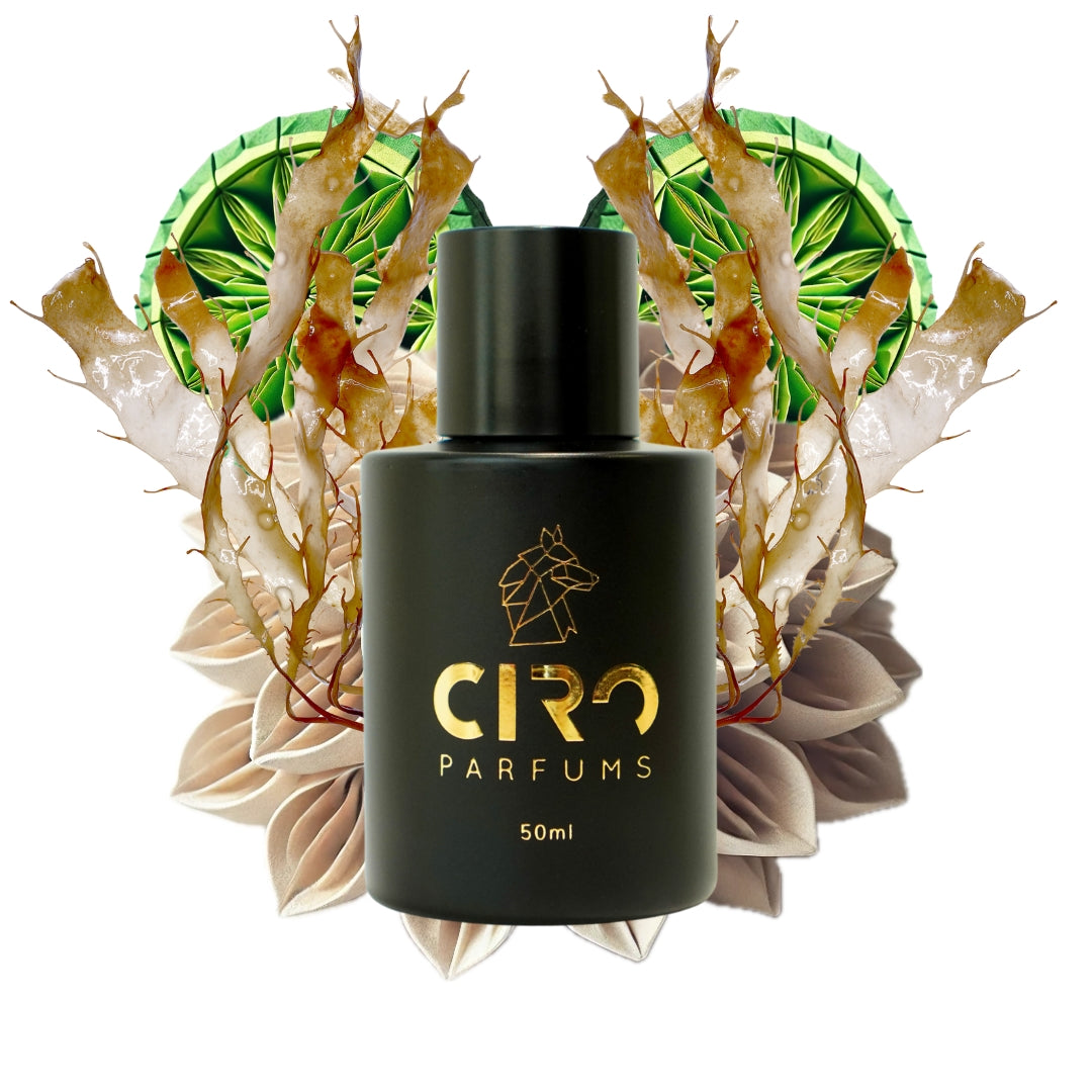 Ciro 69 - Inspirado en Megamare - 50mL