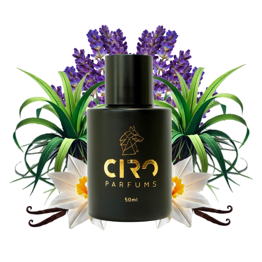 Ciro 81 – Inspirado en Uomo B. in Roma int - 50mL