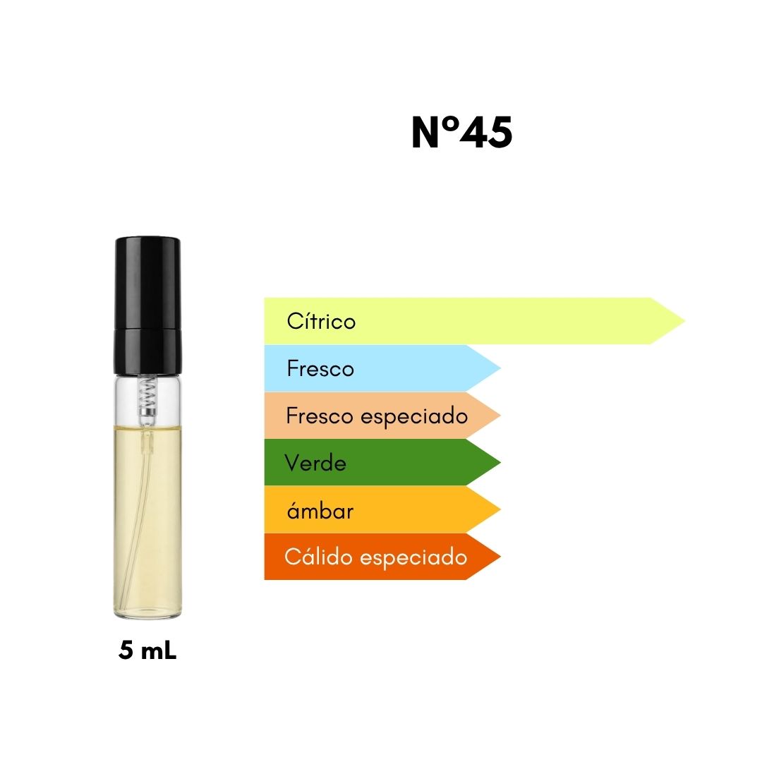 Ciro 45 - Inspirado en Imagination - 5 mL