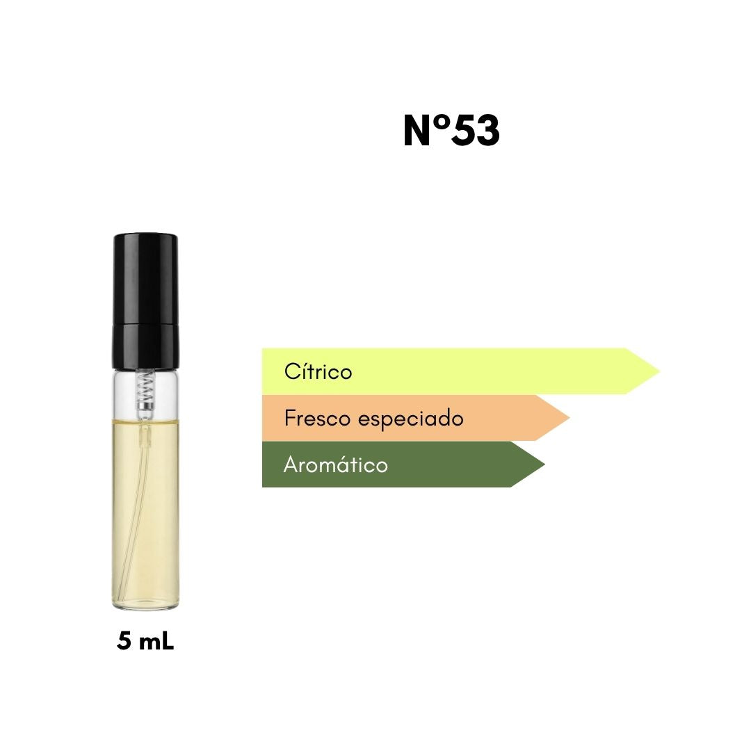 Ciro 53 - Inspirado en Meteore - 5 mL