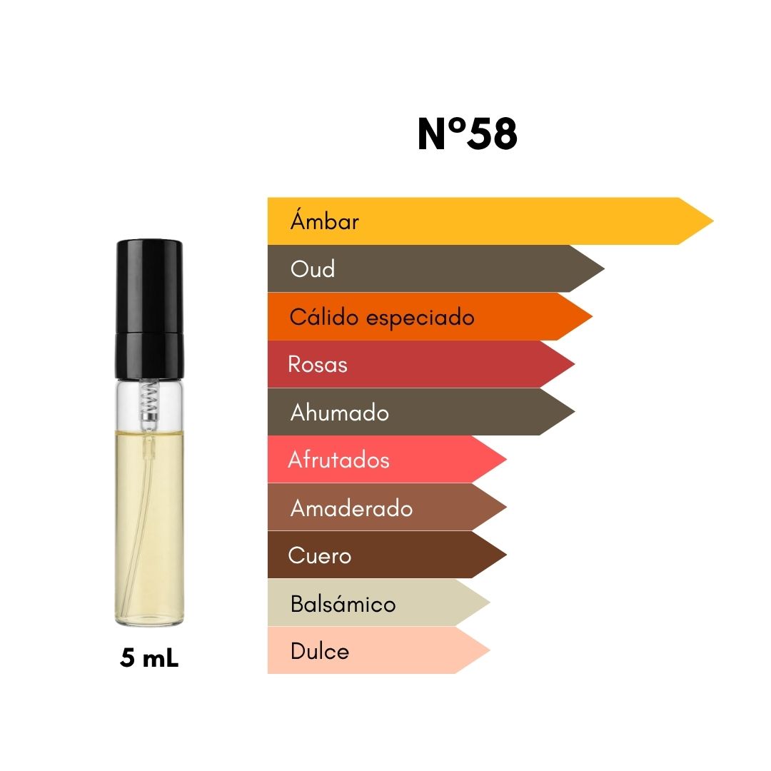 Ciro 58 - Inspirado en Ombre Nomade - 5 mL