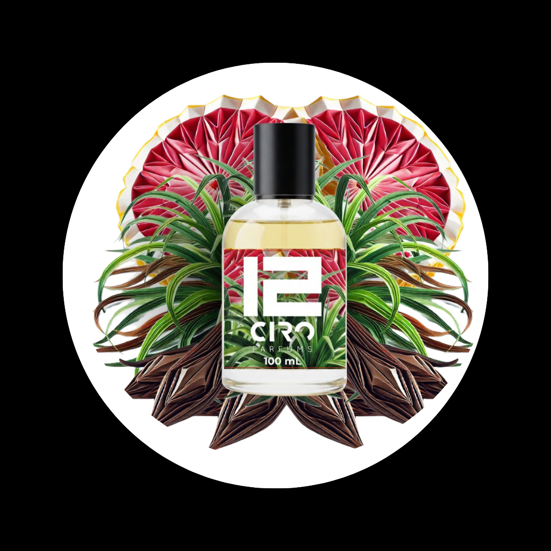 Perfumes Hombre