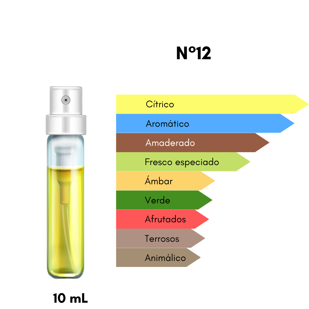 Ciro 12 - El Perfume que Hace Magia - Inspirado en Elysium - 10mL