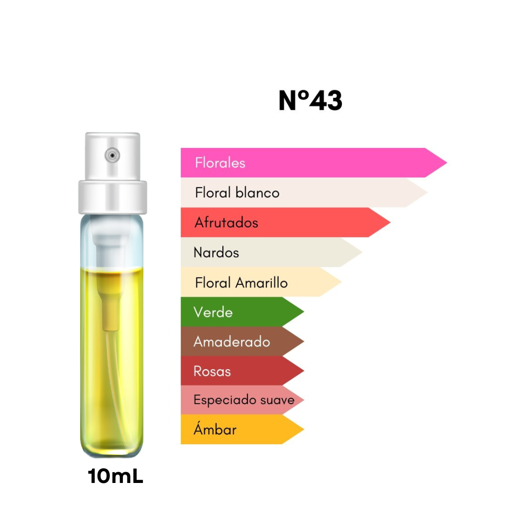 Discovery Box ELIXIR - Mujer
