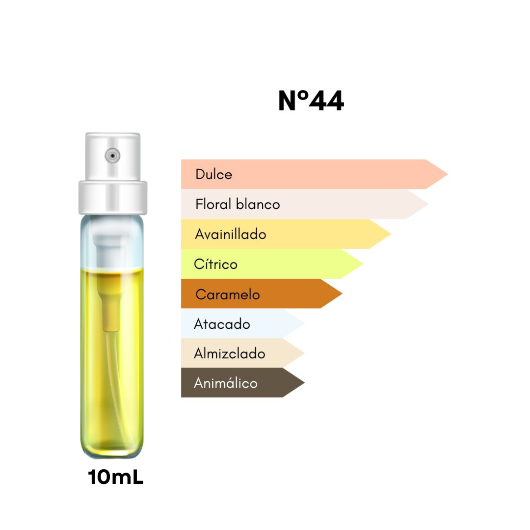 Discovery Box ELIXIR - Mujer