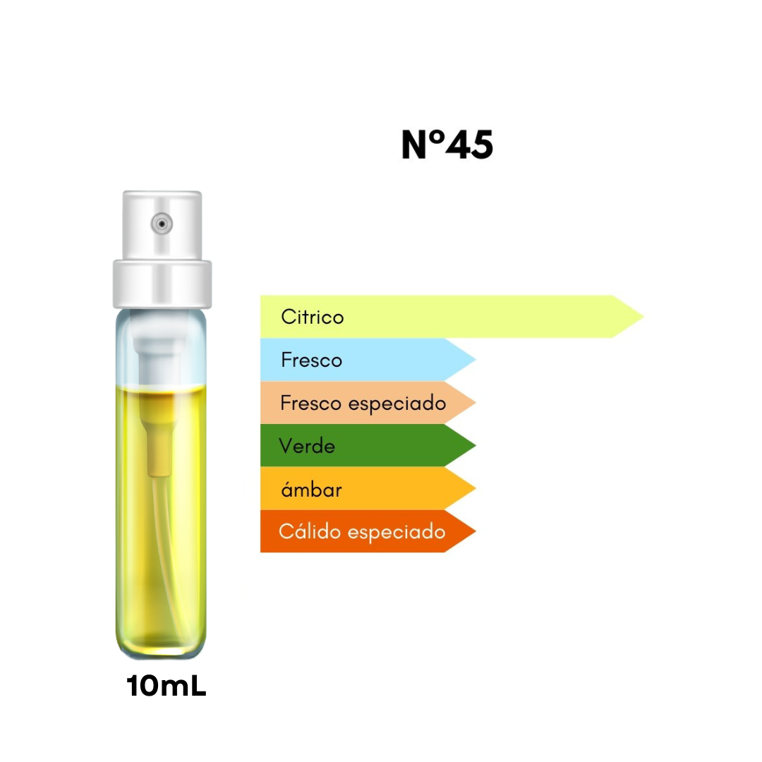 Ciro 45 – Inspirado en Imagination - 10mL