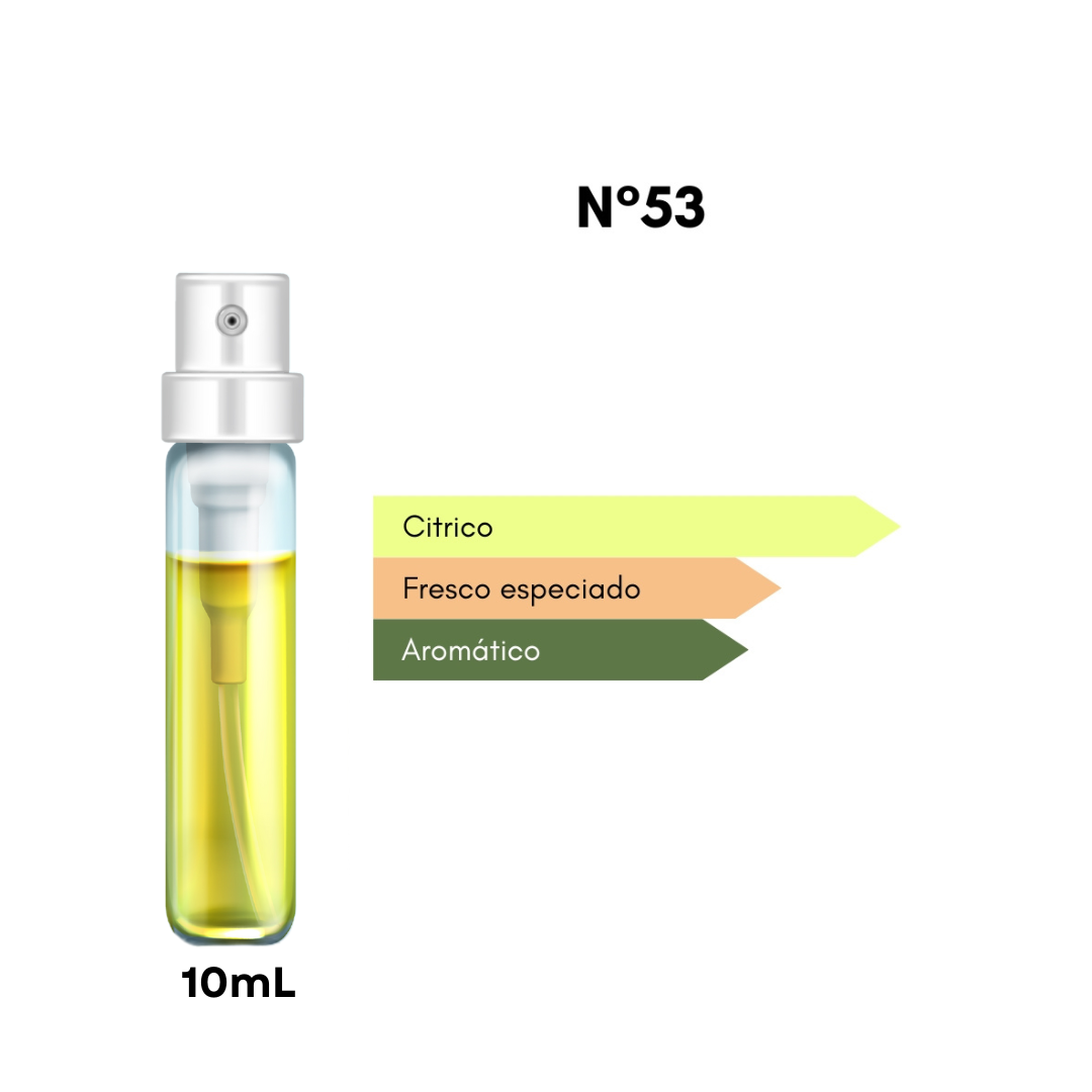 Ciro 53 – Inspirado en Meteore - 10mL