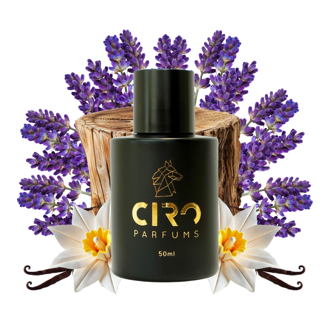 Ciro 79 – Inspirado en Costa Azzura - 50mL