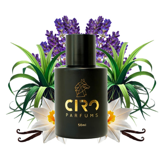 Ciro 81 – Inspirado en Uomo B. in Roma int - 50mL