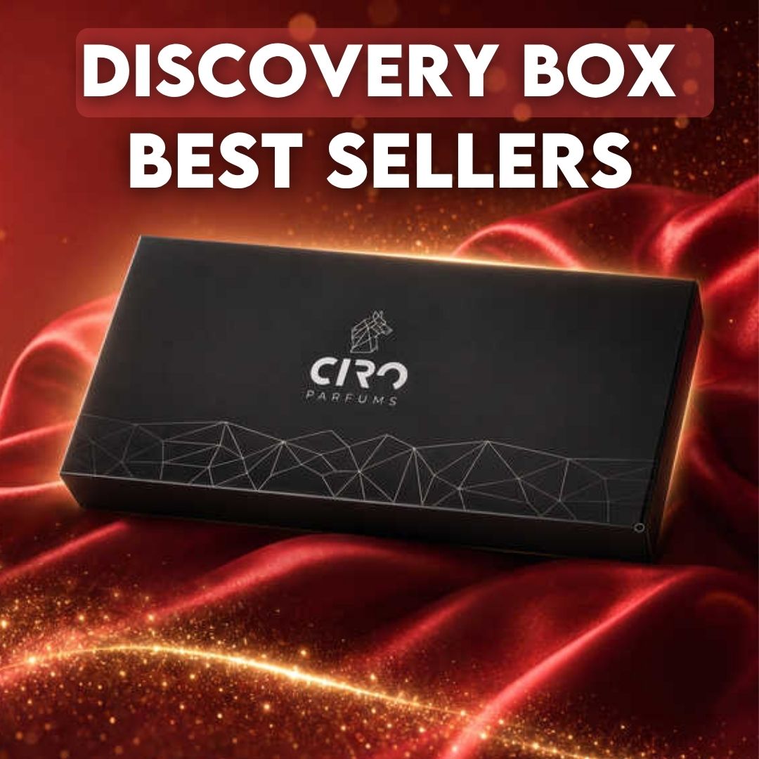 Discovery Box - BEST SELLERS
