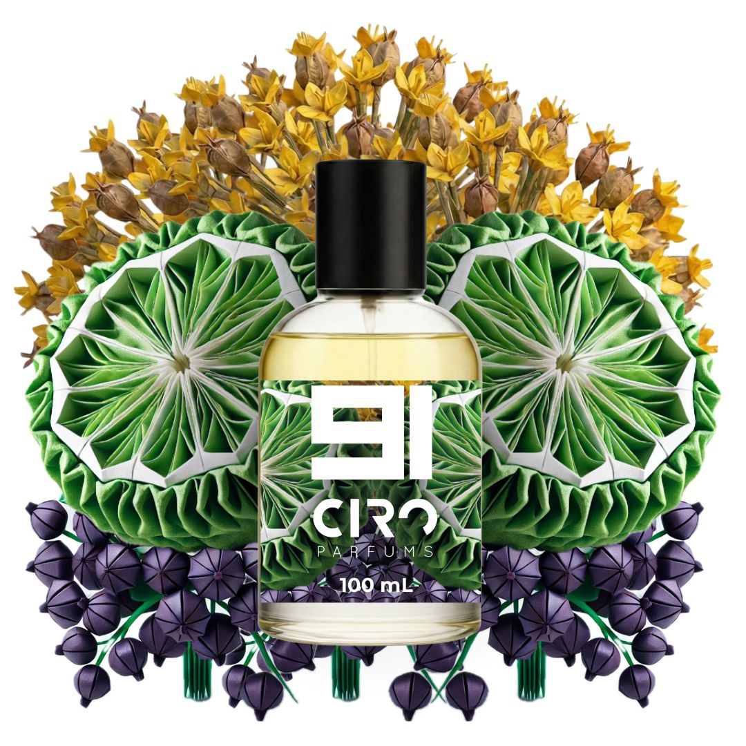 Ciro 91 - Inspirado en Silver Mountain Water - 100 mL