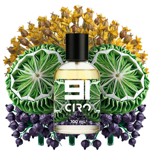 Ciro 91 - Inspirado en Silver Mountain Water - 100 mL