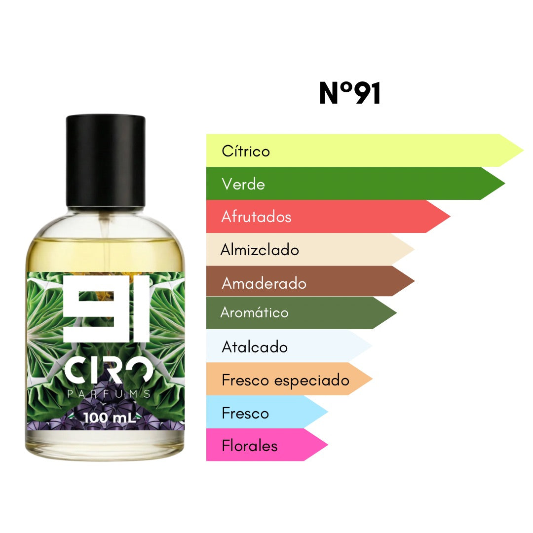 Ciro 91 - Inspirado en Silver Mountain Water - 100 mL