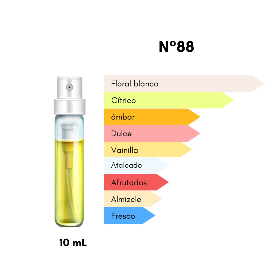 Mini Colección Fragancias Mujer (3 decants 10mL)