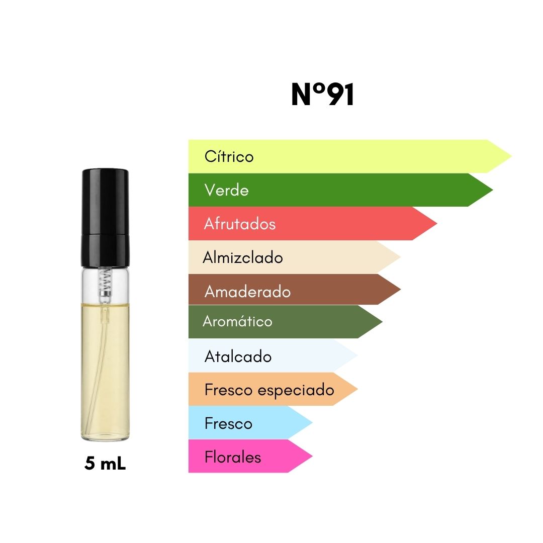 Ciro 91 - Inspirado en Silver Mountain Water - 5 mL
