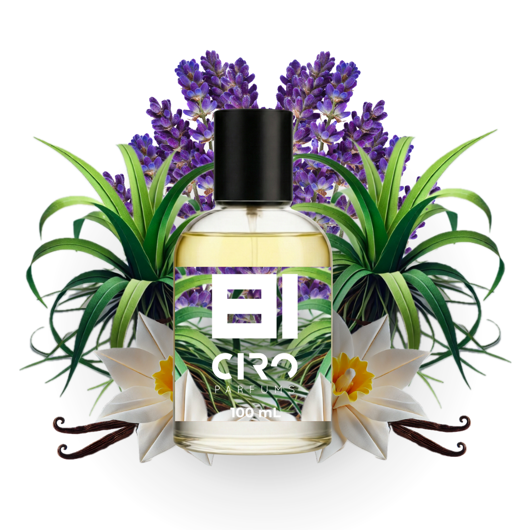 Ciro 81 – Inspirado en Uomo B. in Roma int - 100mL