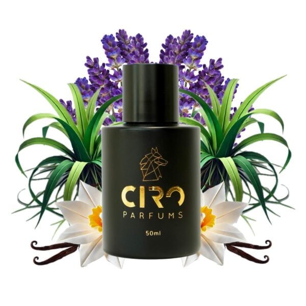 Ciro 81 – Inspirado en Uomo Born In Roma Intense - 50mL